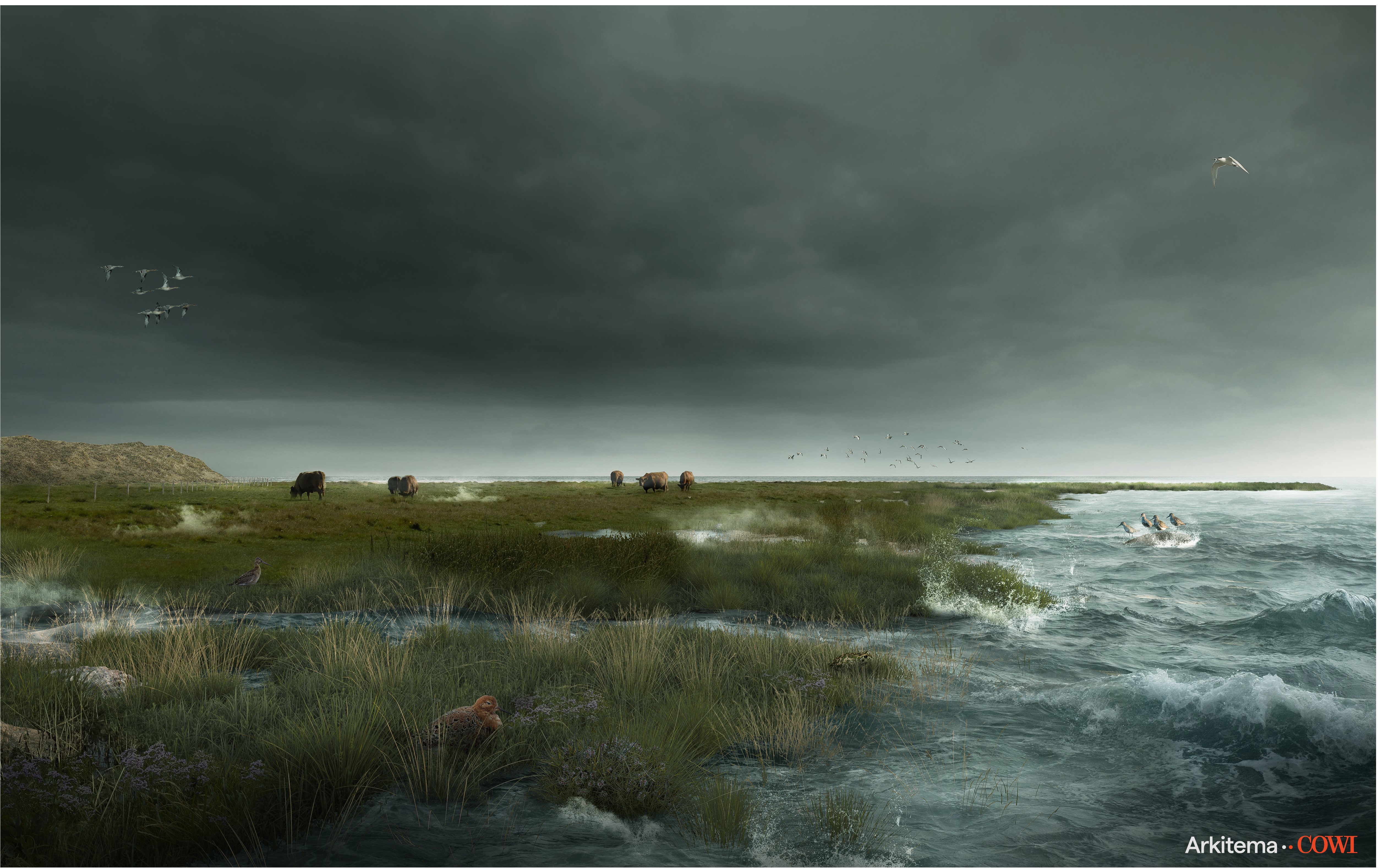 0 Strandeng Logo TOEB